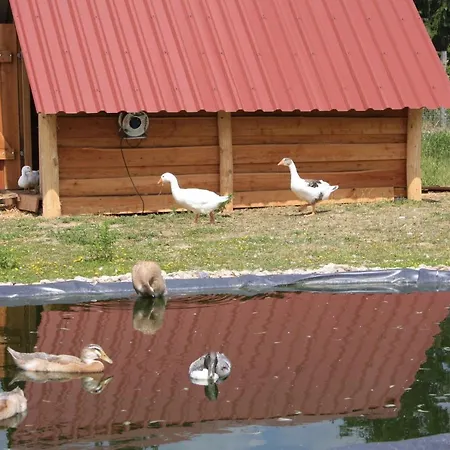 Ferienhaus Fur Bis Zu 4 Personen Zur Seeseite - #125262 Vakantiehuis