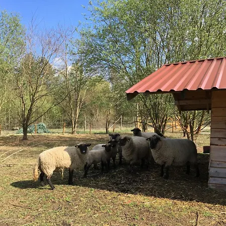 Ferienhaus Fur Bis Zu 4 Personen Zur Seeseite - #125262